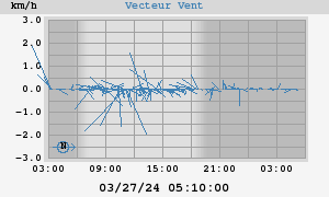 Wind Vector