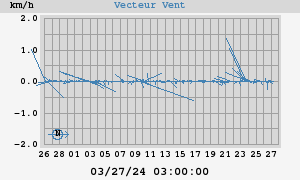 Wind Vector