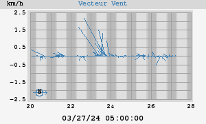 Wind Vector