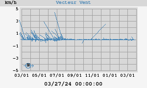 Wind Vector